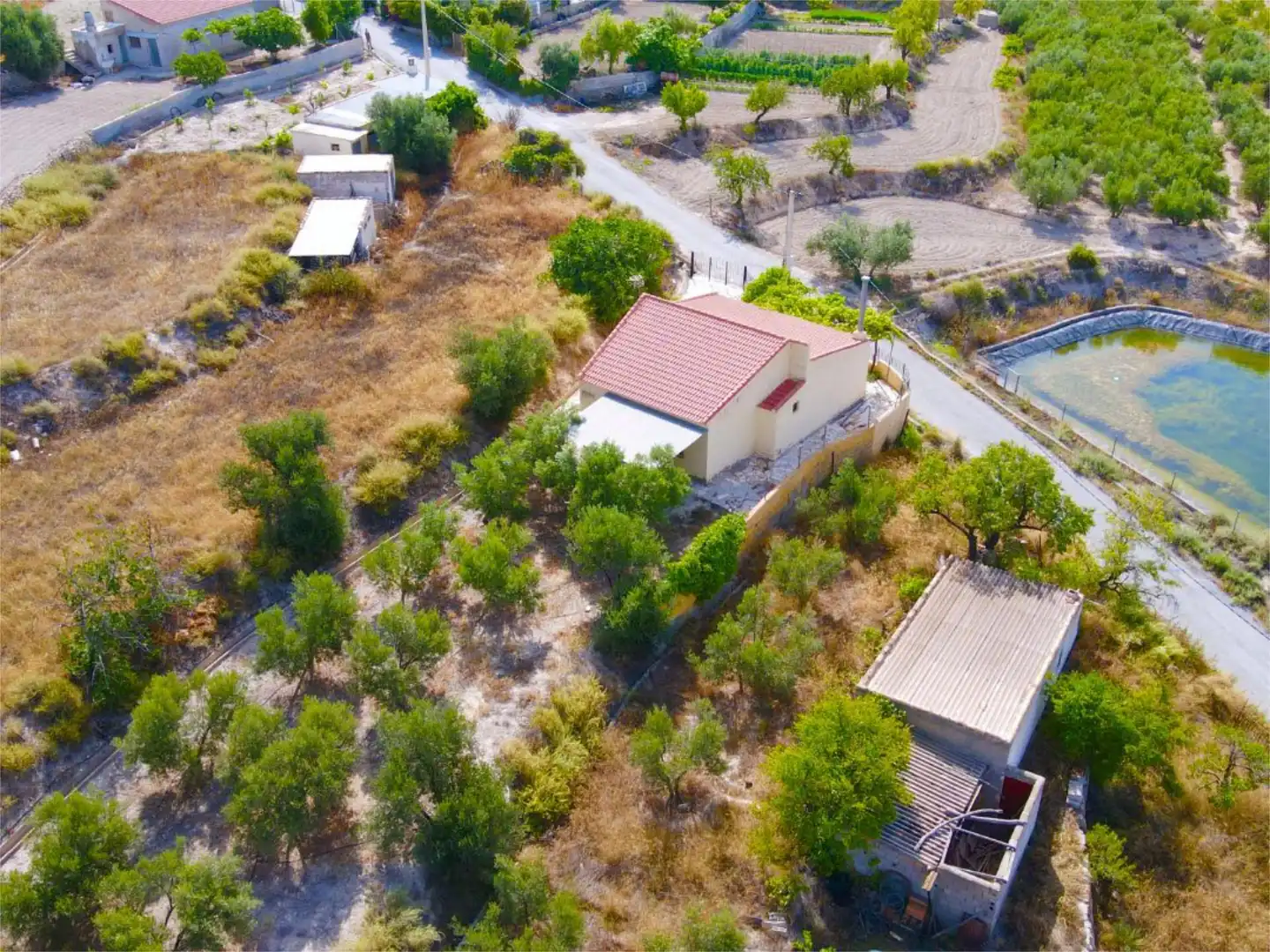 Finca rústica en venta en Purchena