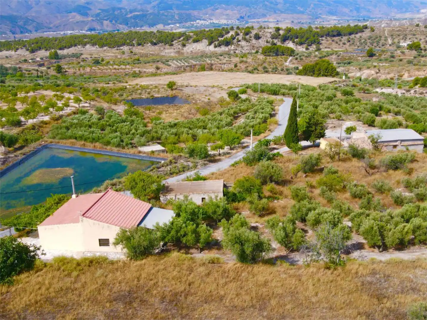 Finca rústica en venta en Purchena