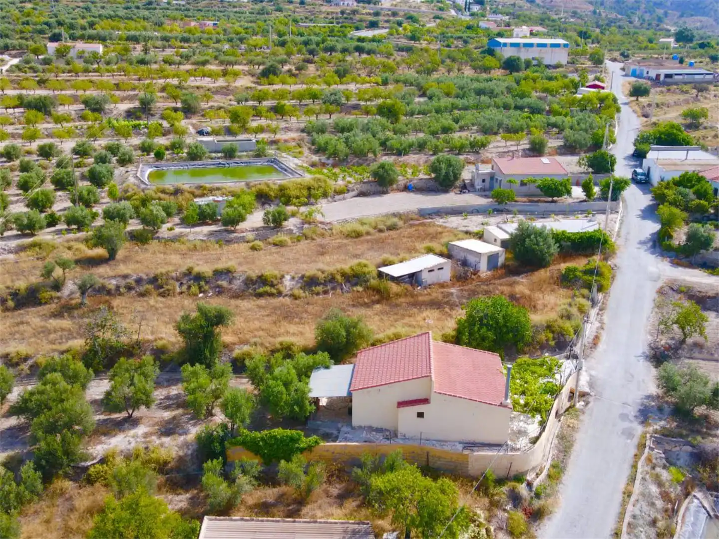 Finca rústica en venta en Purchena