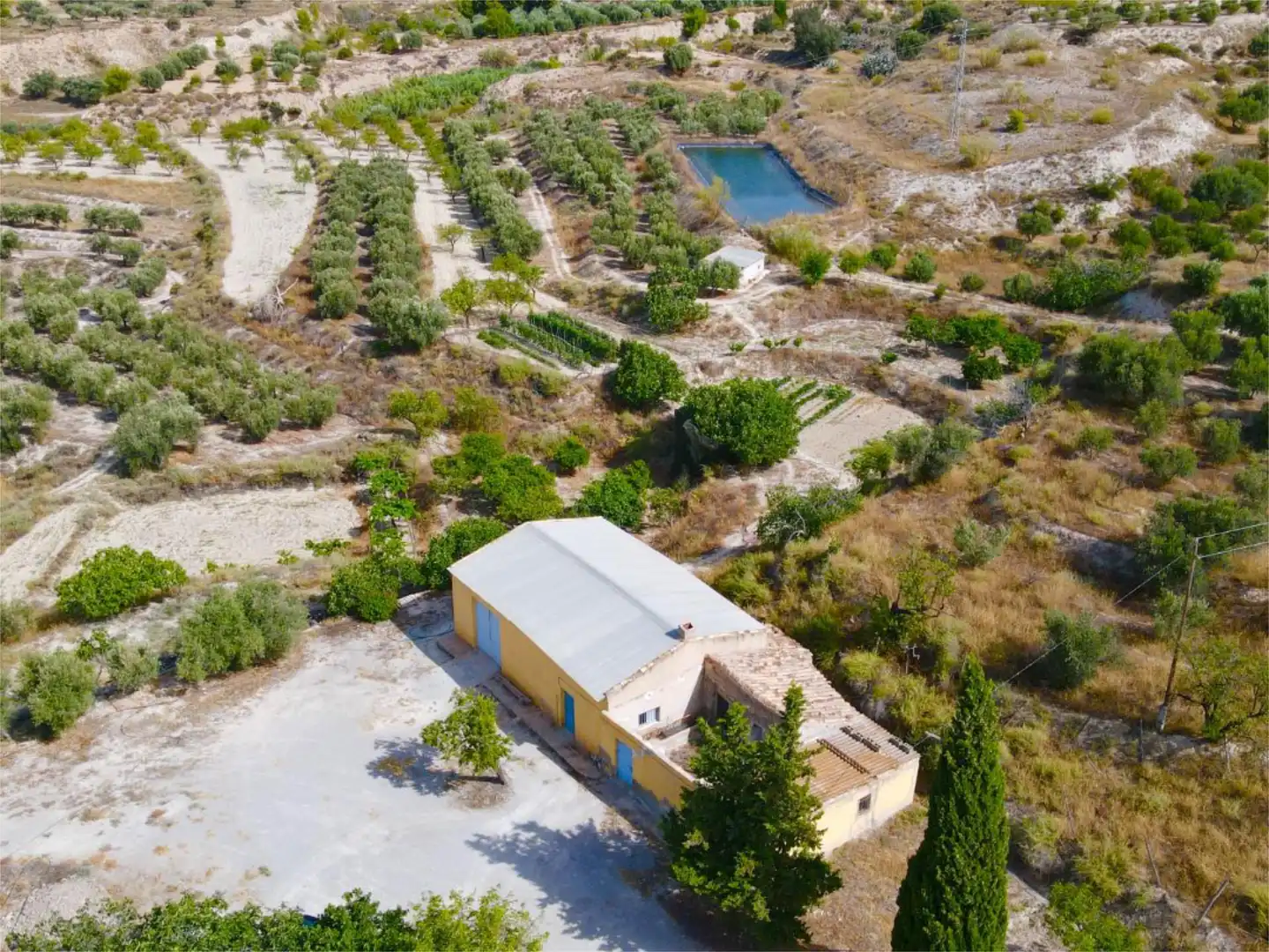 Finca rústica en venta en Purchena