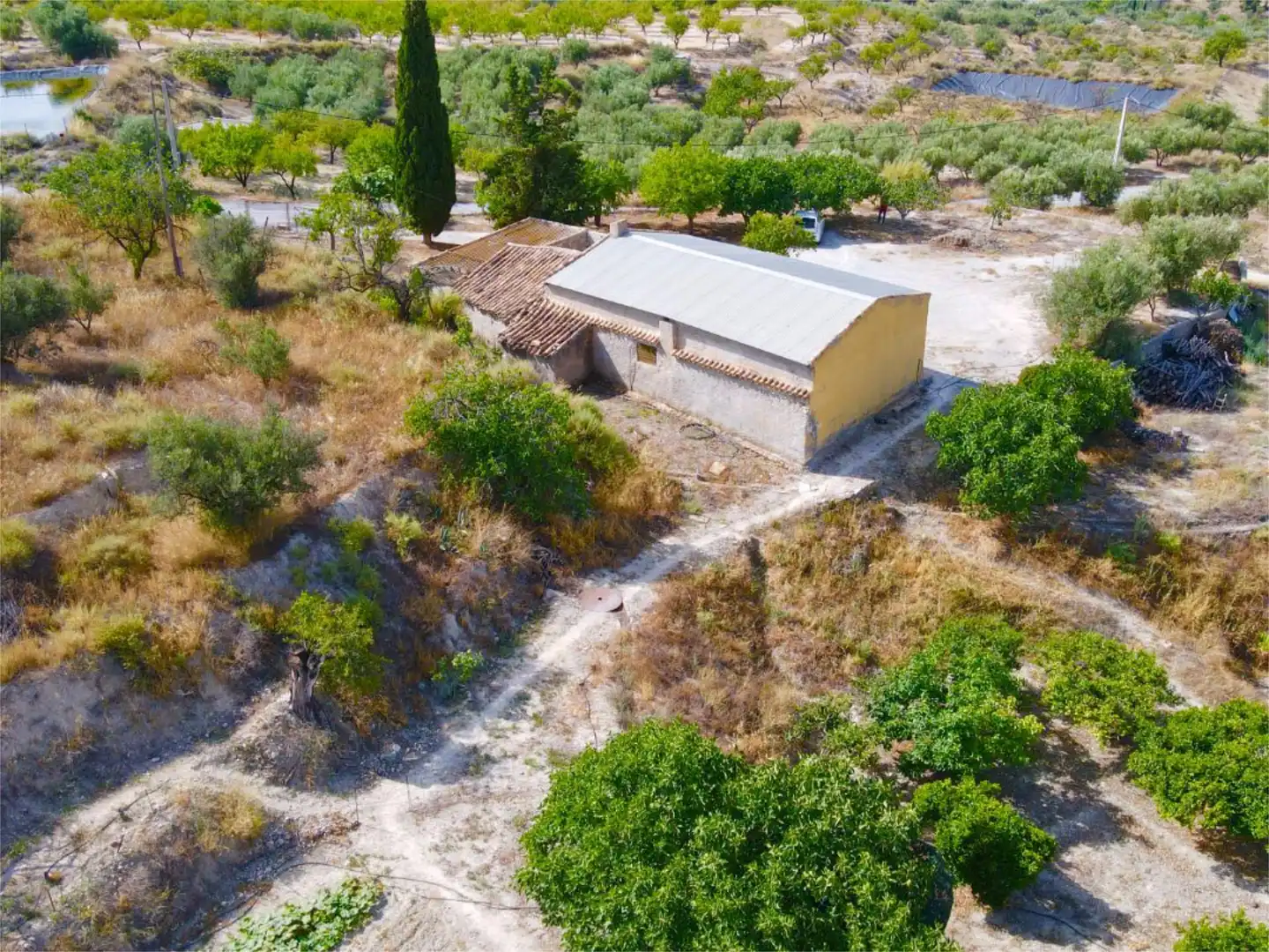 Vista exterior de Finca rústica en venta en Purchena