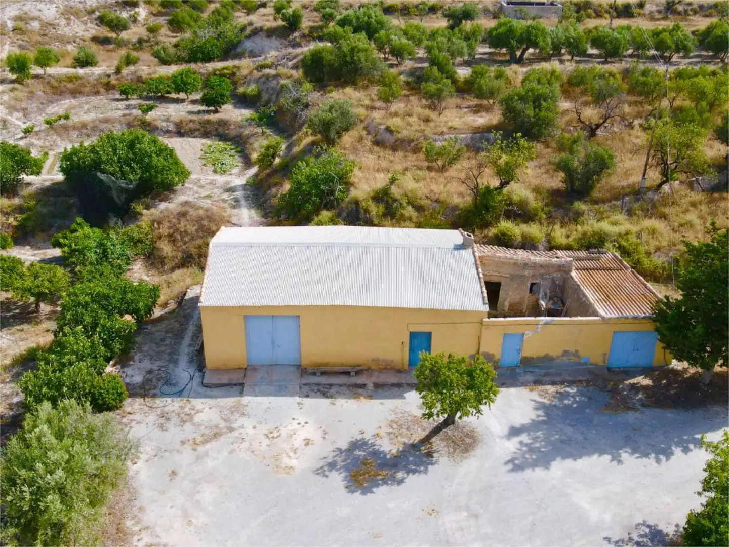 Vista exterior de Finca rústica en venta en Purchena
