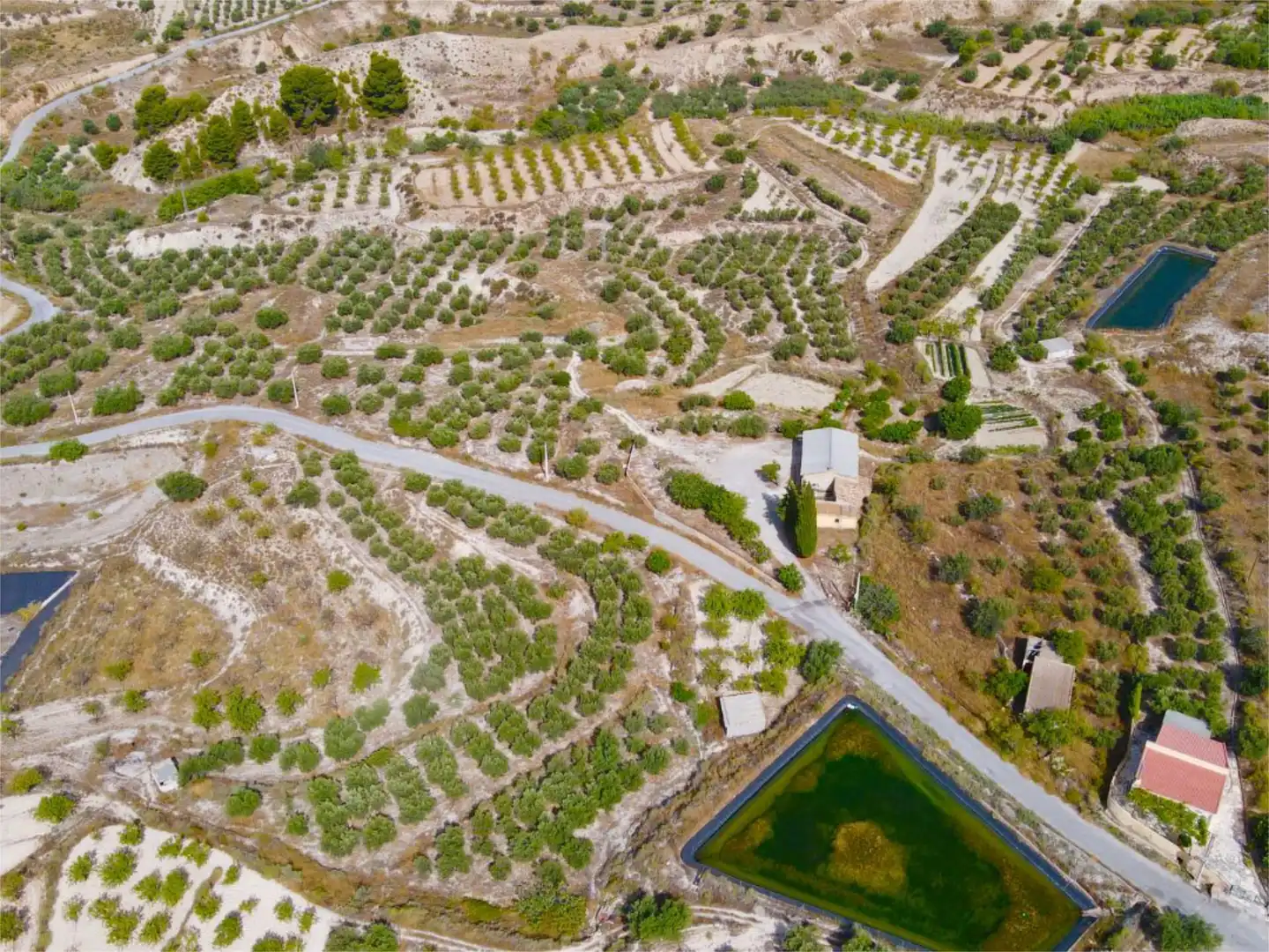 Finca rústica en venta en Purchena