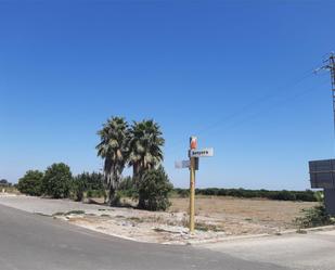 Constructible Land for sale in Senyera