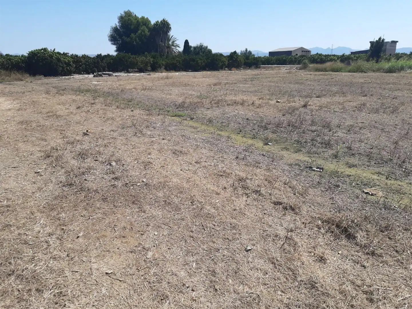 Constructible Land for sale in Senyera