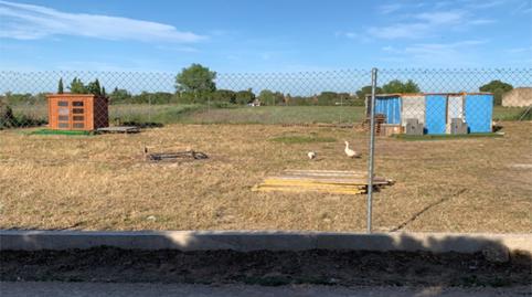 Country house to rent in Lugar Finca Corchuela, 10, Las Vaguadas, Badajoz - image 3 Photo 3 of Country house to rent in Lugar Finca Corchuela, 10, Las Vaguadas, Badajoz