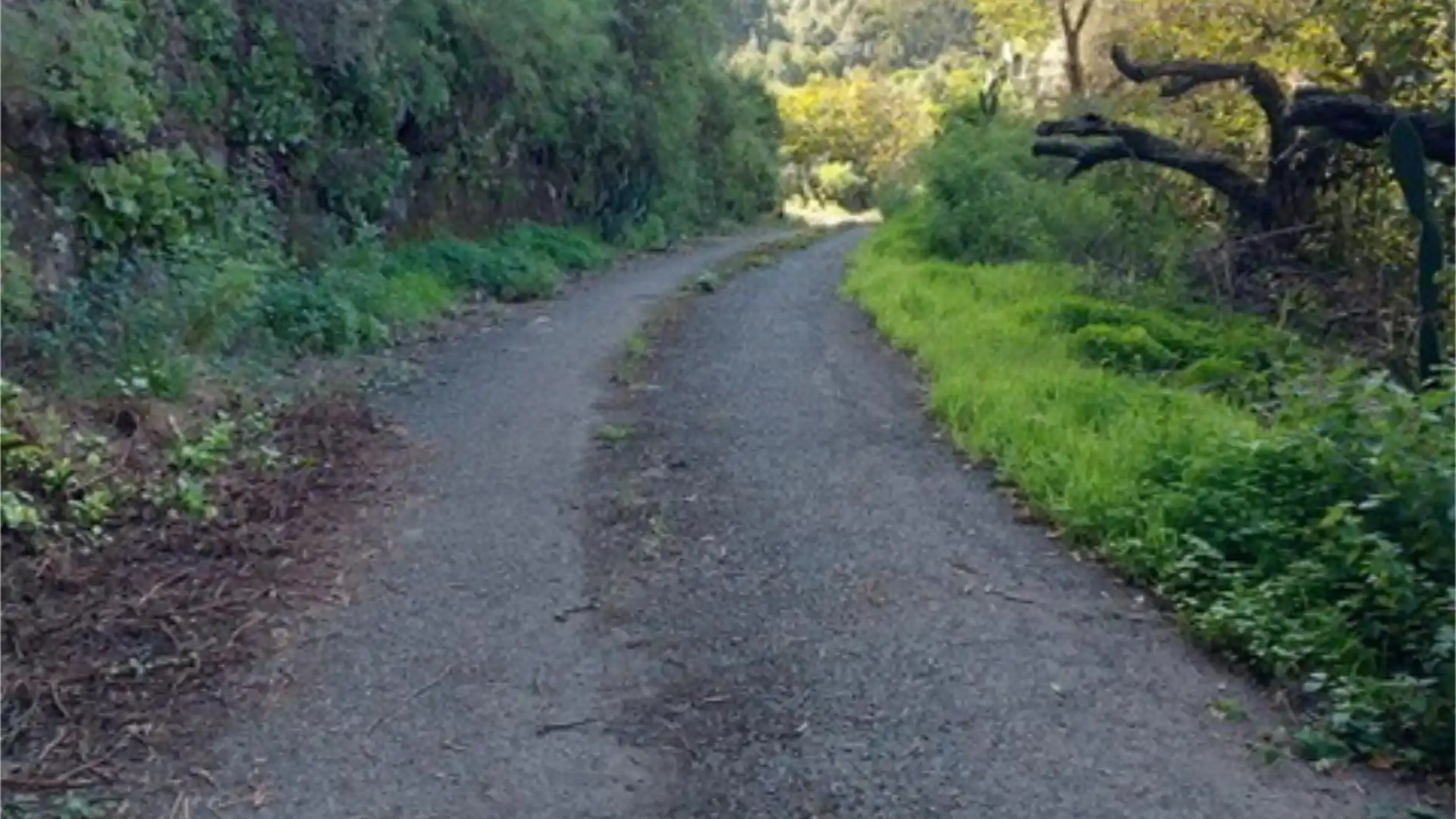 Außenansicht von Grundstücke zum Verkauf in Valleseco