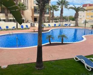 Swimming pool of Apartment for sale in Guardamar del Segura  with Terrace