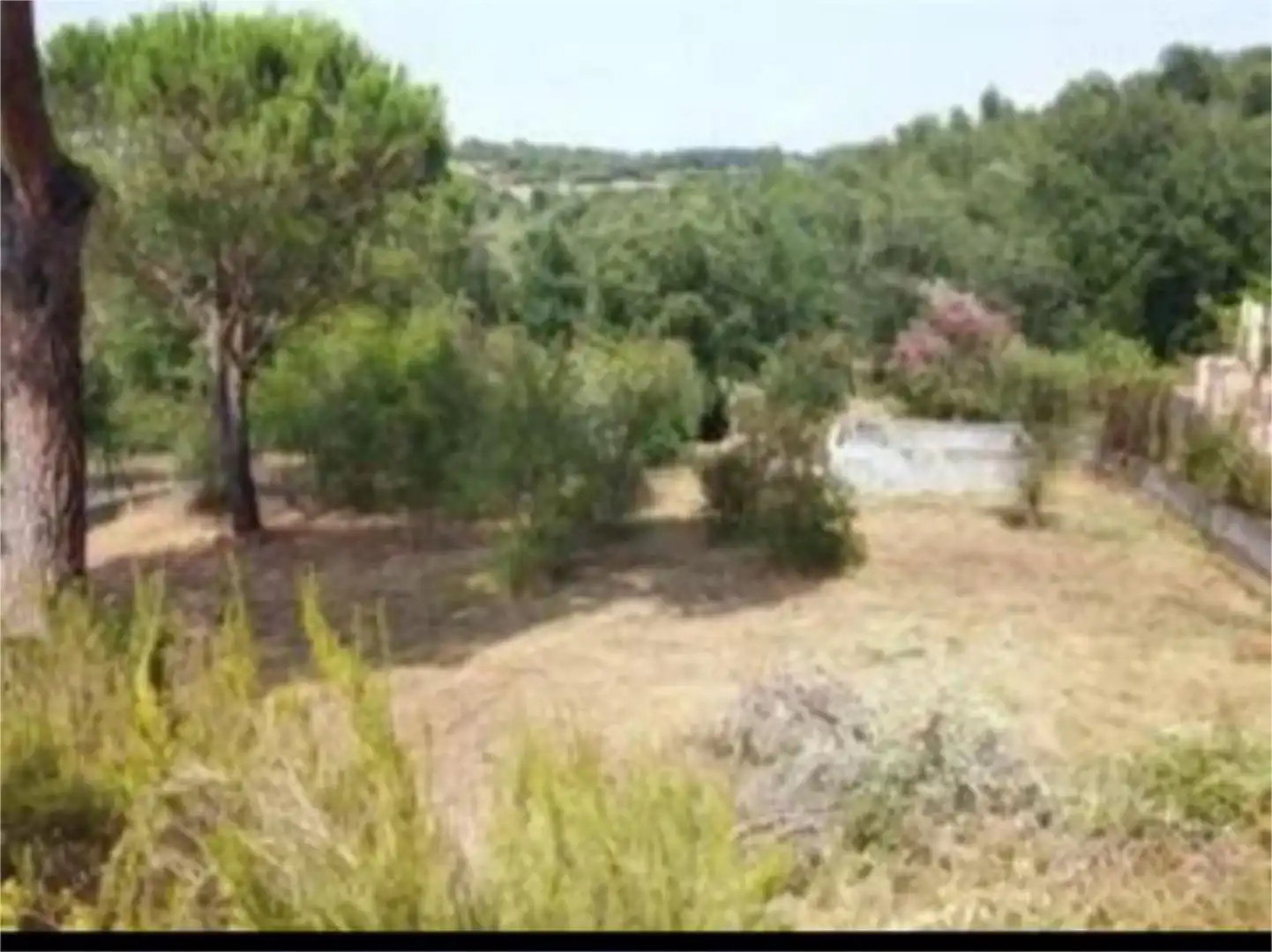 Finca rústica en venta en Carrer Amer, 29, Mas Altaba - El Molí Finca rústica en venta en Maçanet de la Selva