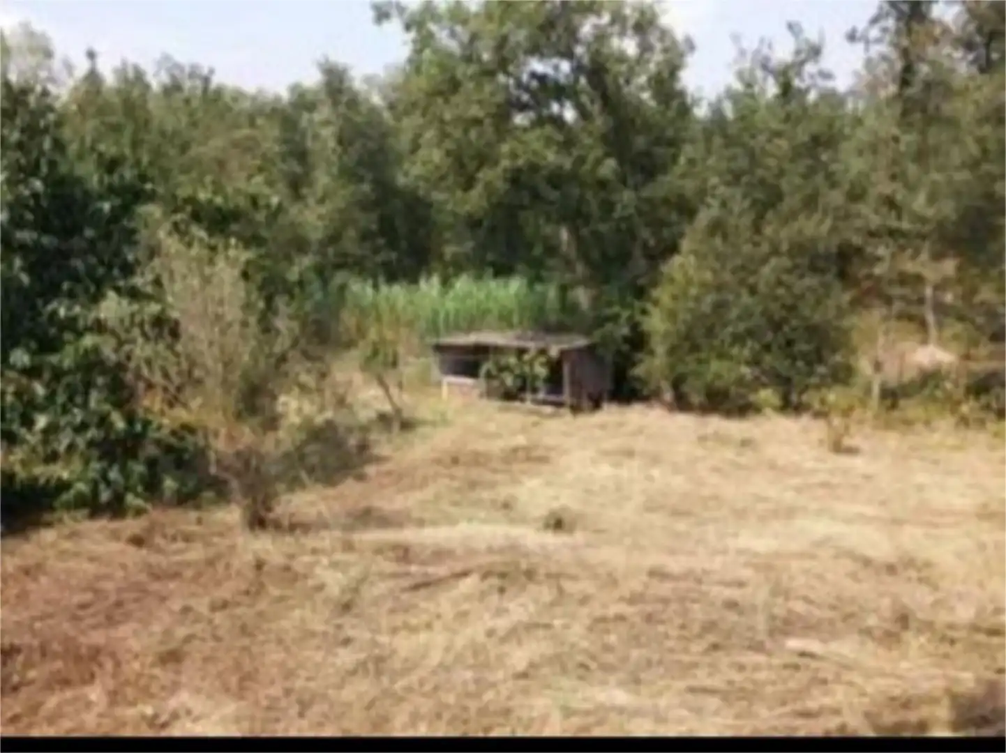Finca rústica en venta en Carrer Amer, 29, Mas Altaba - El Molí Finca rústica en venta en Maçanet de la Selva