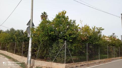 Foto 2 de Finca rústica en venda a Camino de Los Silvestres, 18, Guadalupe, Murcia