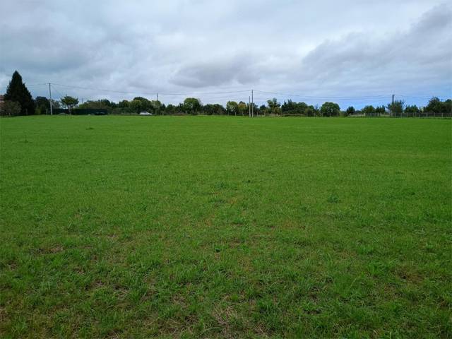 Finca rústica en Venta en Camino de la Pinganiella, 750 en Leorio