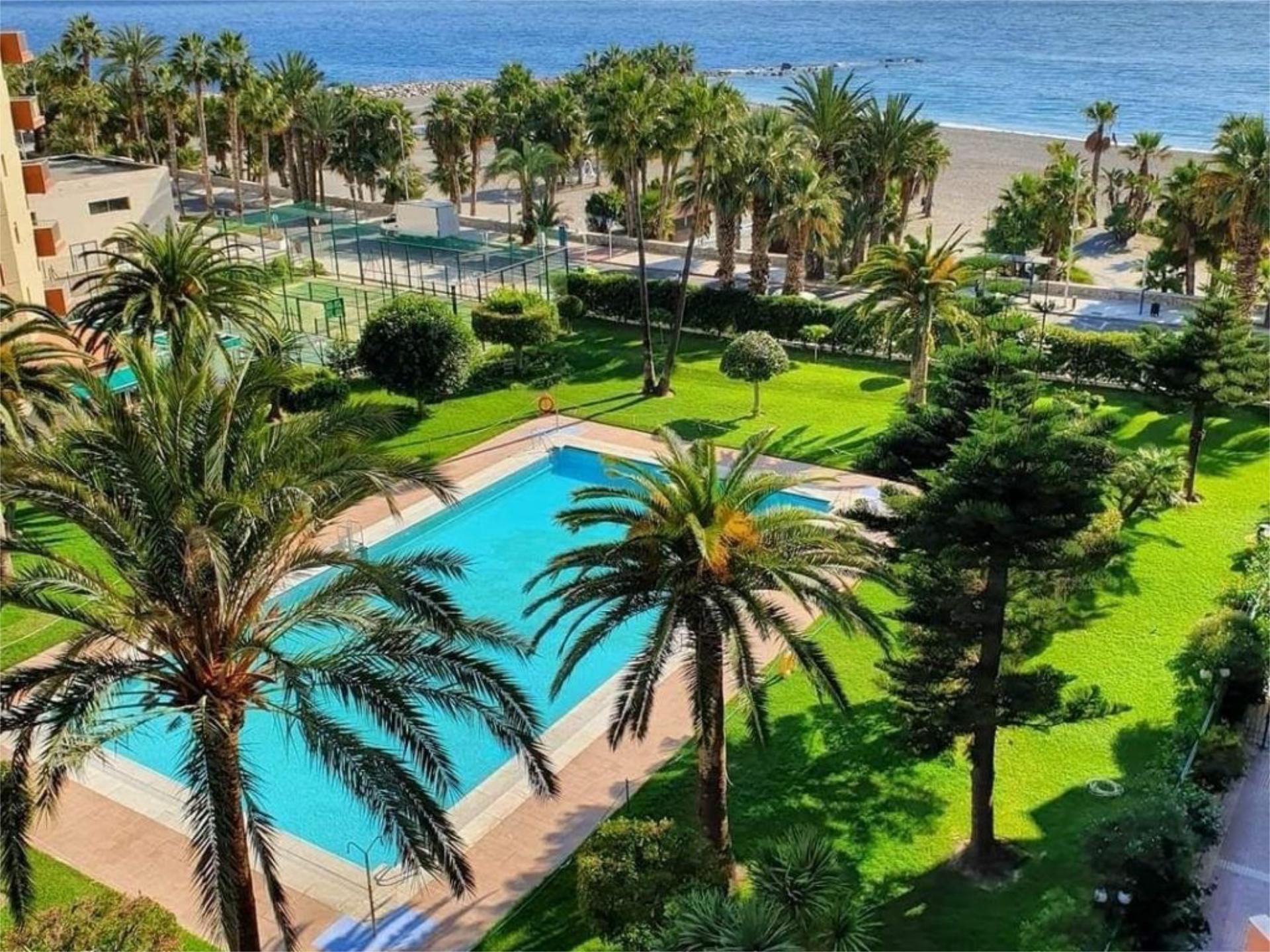 Swimming pool of Apartment to rent in Almuñécar  with Private garden, Parquet flooring and Terrace