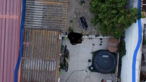 Foto 4 de Casa adosada en venta en Calle Angustias, 10, Moguer, Huelva