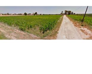 Non-constructible Land for sale in Catral