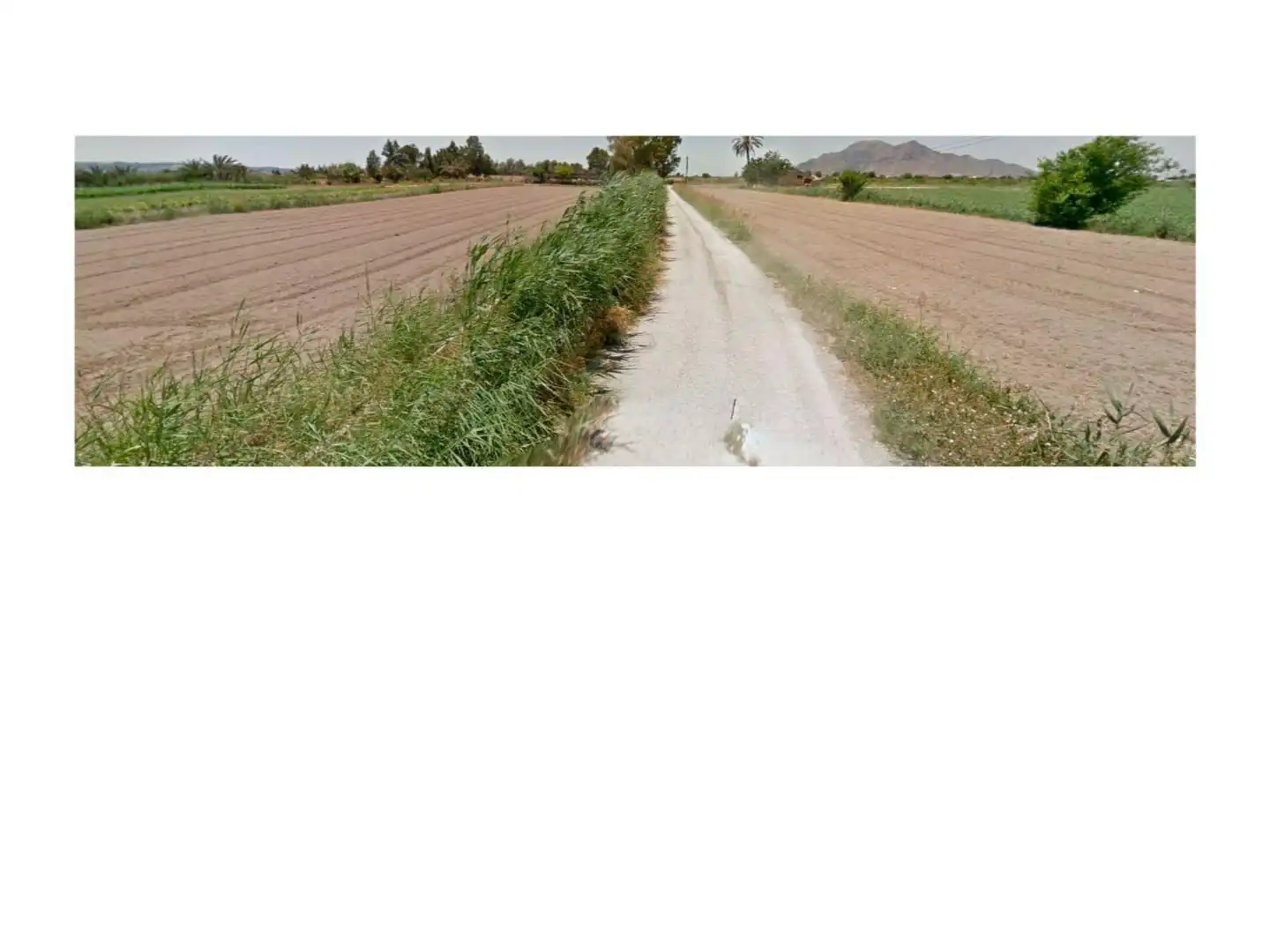 Non-constructible Land for sale in Catral