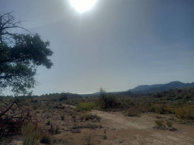 Finca rústica en Venta en Calle Foso, 19 en El Verdegàs