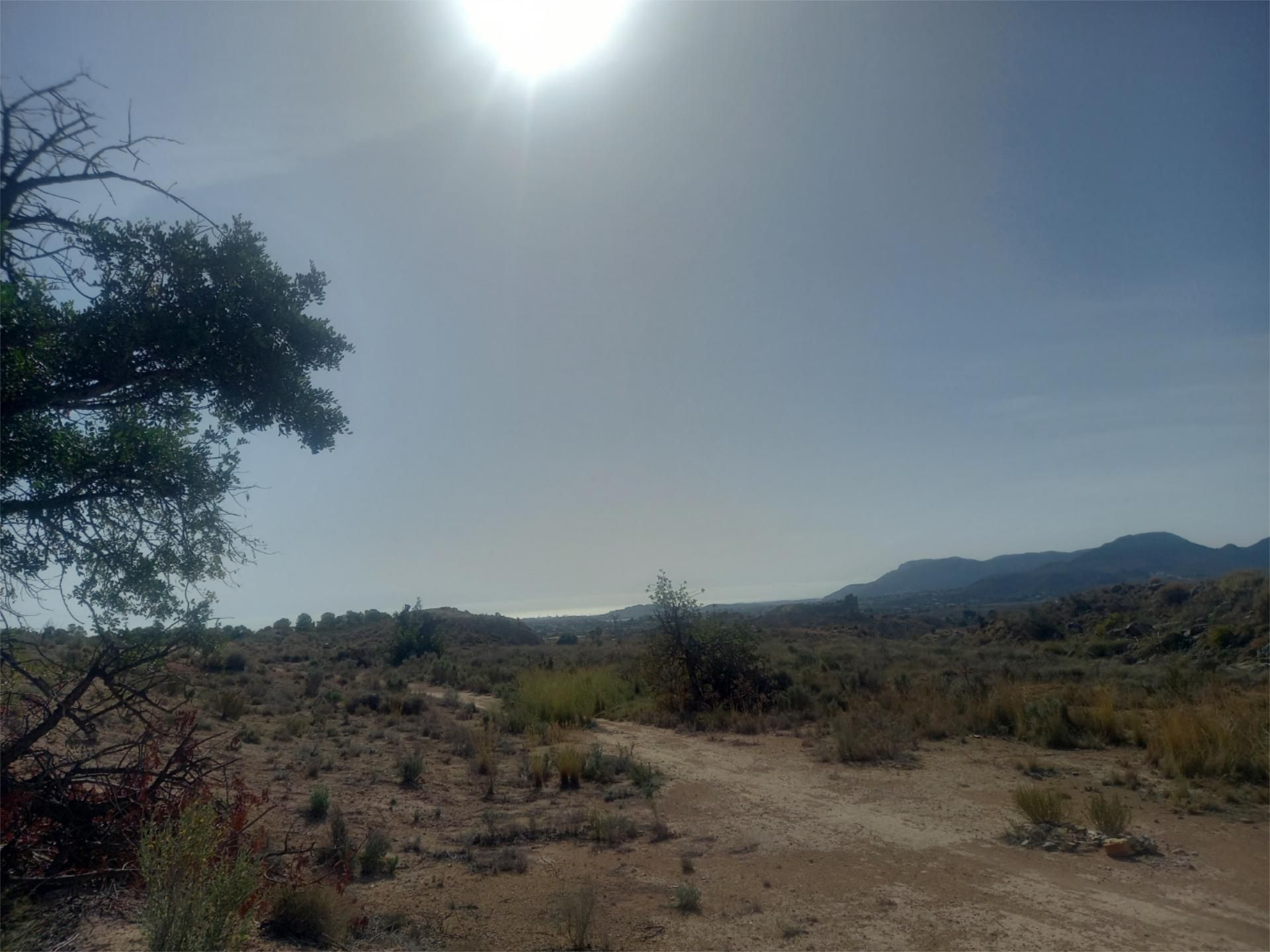 Finca rústica en venda en Alicante / Alacant