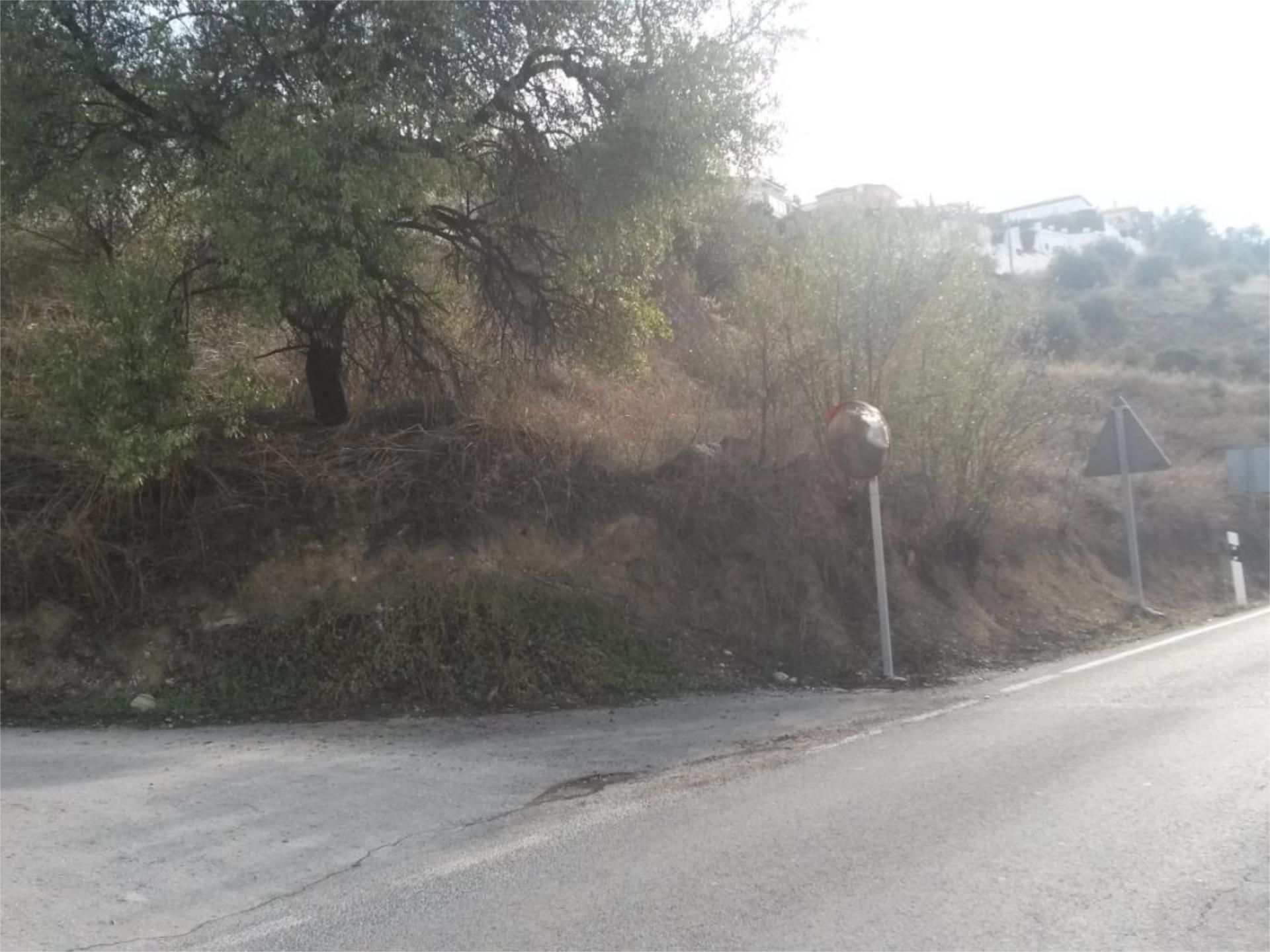 Land for sale in Los Villares