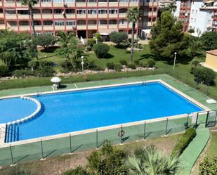 Piscina de Àtic de lloguer en Torrevieja amb Aire condicionat, Terrassa i Piscina