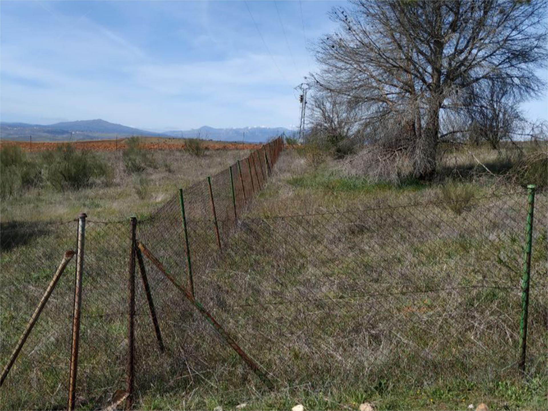 Terreno en venta en Valdepiélagos