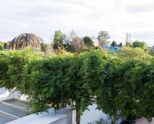 Jardí de Casa adosada en venda en Llanera amb Piscina