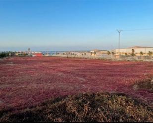 Finca rústica de lloguer en Ingenio