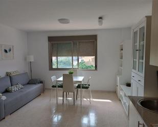 Living room of Flat to rent in Sant Carles de la Ràpita  with Air Conditioner