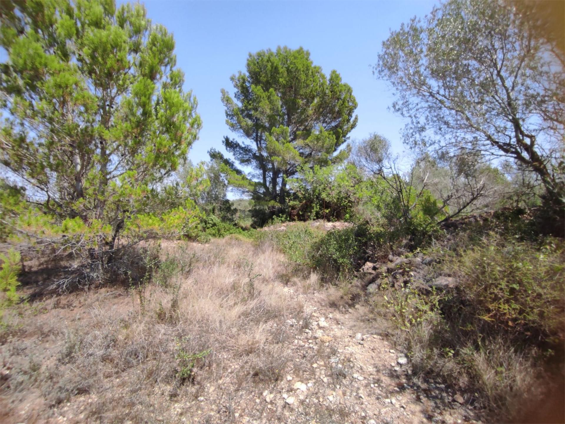 Urbanitzable en venda en San Jorge / Sant Jordi