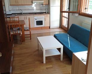 Sala d'estar de Apartament de lloguer en Jaca amb Terrassa, Piscina i Balcó