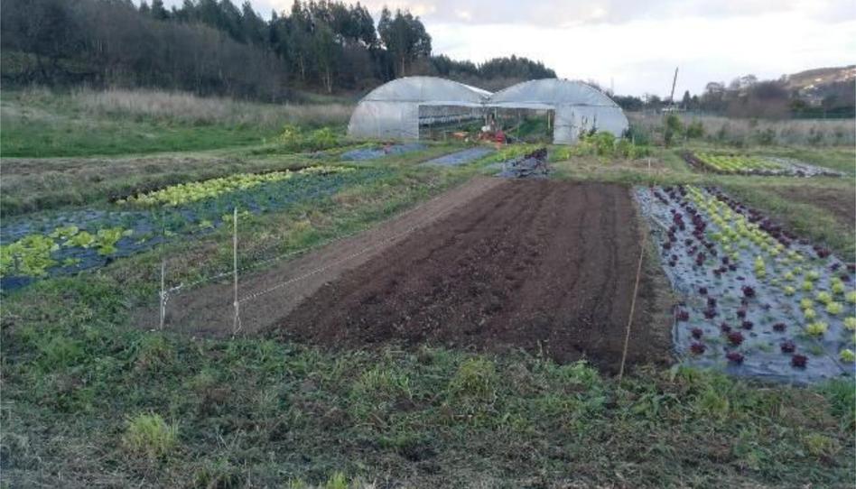 No Urbanitzable en venda a Ct-1, 220, Santa María del Mar - El Puerto, Asturias - imatge 1 Foto 1 de No Urbanitzable en venda a Ct-1, 220, Santa María del Mar - El Puerto, Asturias