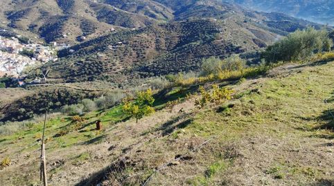 Foto 2 de Terreno en venta en Arenas, Málaga