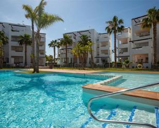 Piscina de Àtic en venda en Torre-Pacheco amb Aire condicionat, Jardí privat i Terrassa