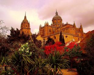 Vista exterior de Casa adosada en venda en Salamanca Capital amb Aire condicionat, Terrassa i Balcó