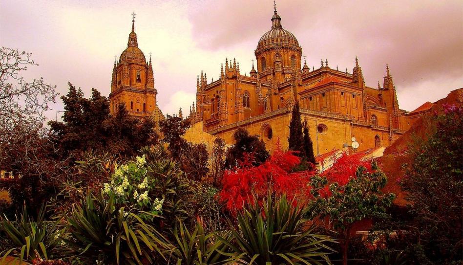 Single-family semi-detached for sale in Calle Doyagüe, 8, Universidad - Tenerías, Salamanca - image 1 Photo 1 of Single-family semi-detached for sale in Calle Doyagüe, 8, Universidad - Tenerías, Salamanca
