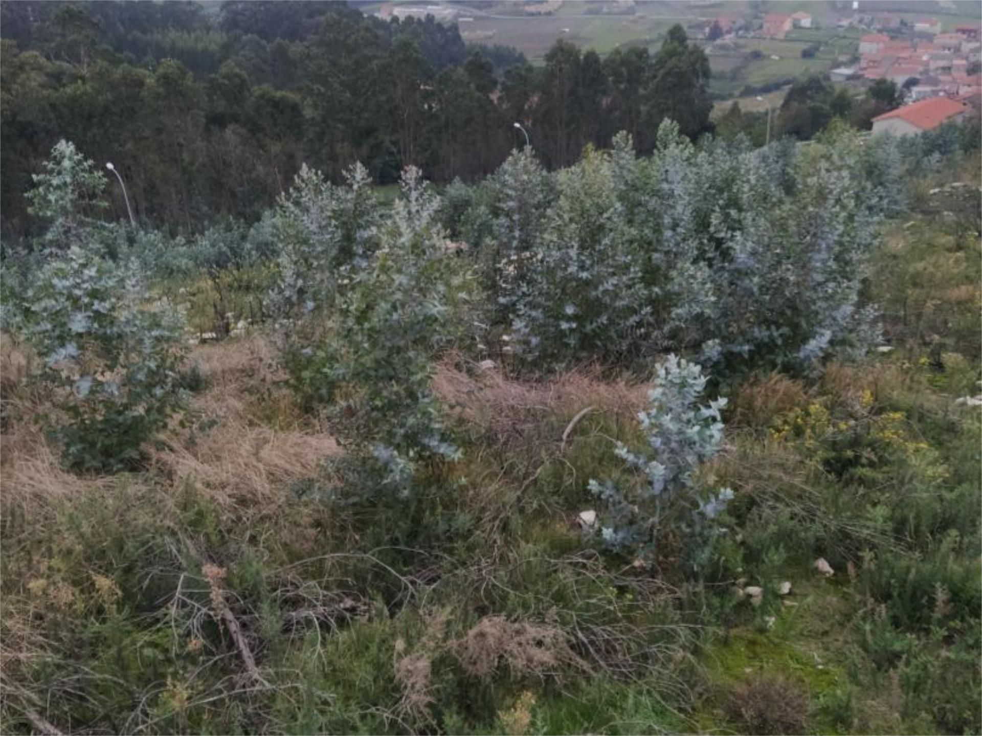 Land for sale in Arteixo