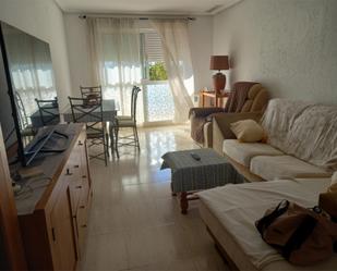 Living room of Flat to share in Elche / Elx  with Furnished, Washing machine and Microwave