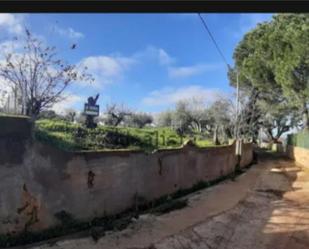 Terreny en venda en Cañaveral