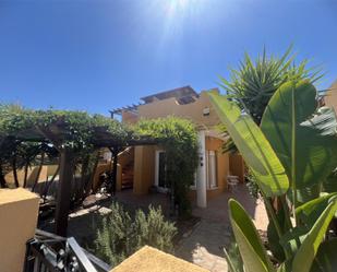 Jardí de Casa o xalet de lloguer en Los Gallardos amb Aire condicionat, Terrassa i Piscina