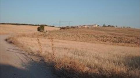 Foto 5 de No Urbanitzable en venda a Camino de Noblejas, 86, Nuevo Aranjuez - Ciudad de las Artes, Madrid