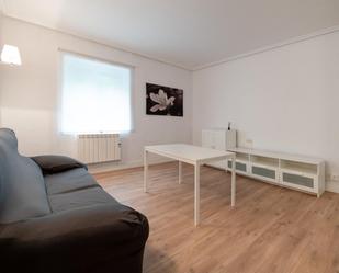 Living room of Flat to rent in Donostia - San Sebastián 