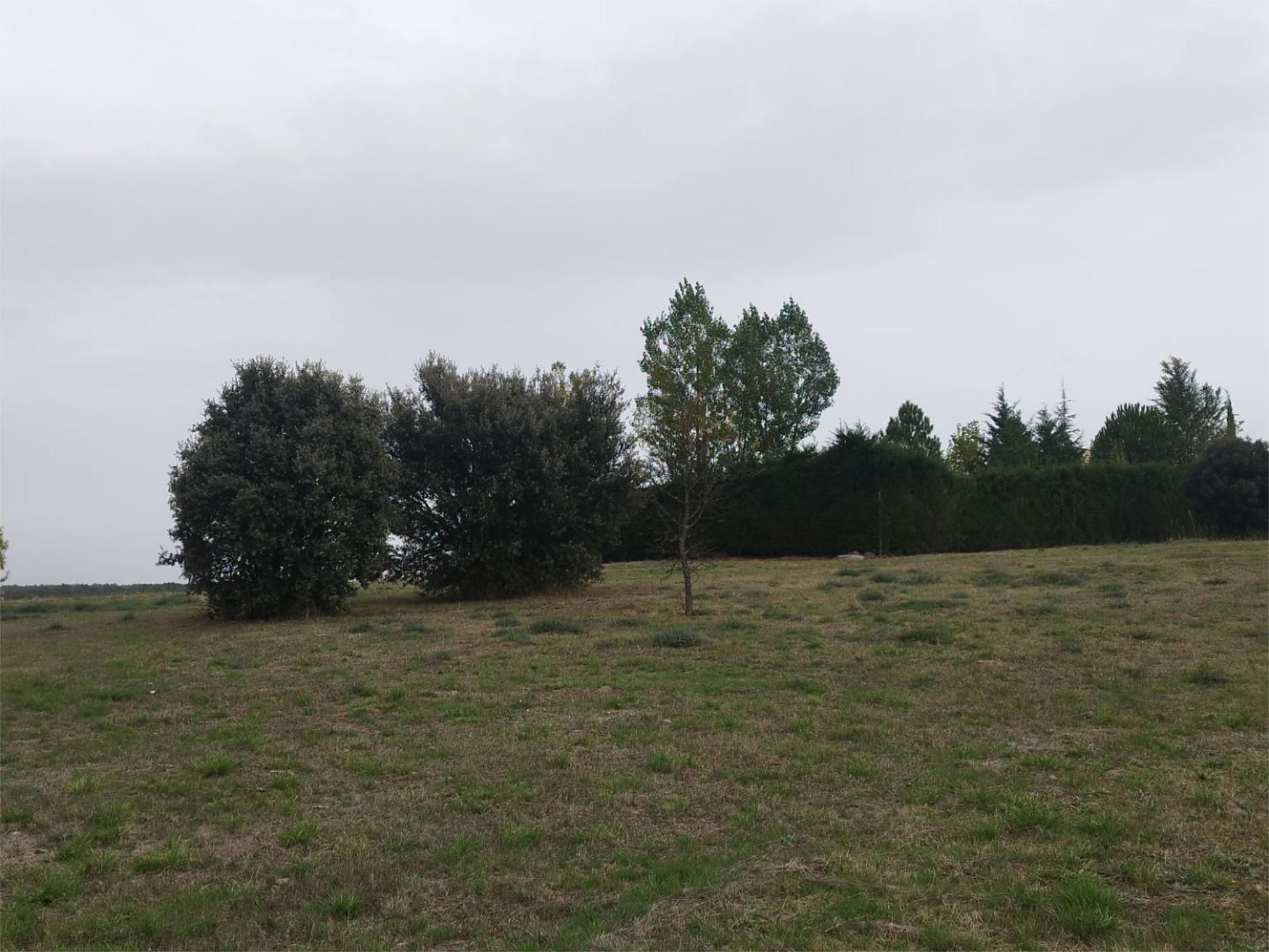Constructible Land for sale in Duruelo