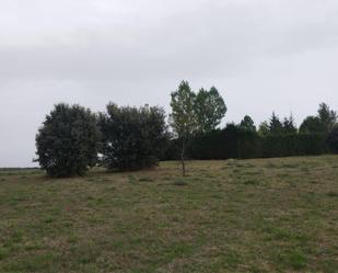 Constructible Land for sale in Duruelo