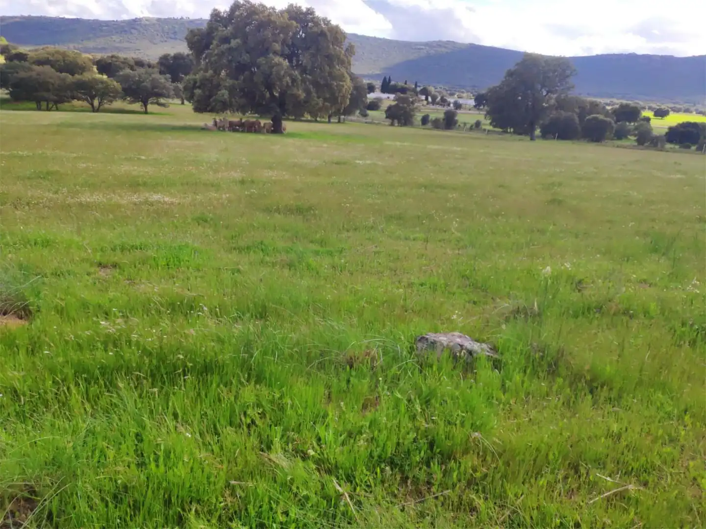 Terreno en venta en Alcoba