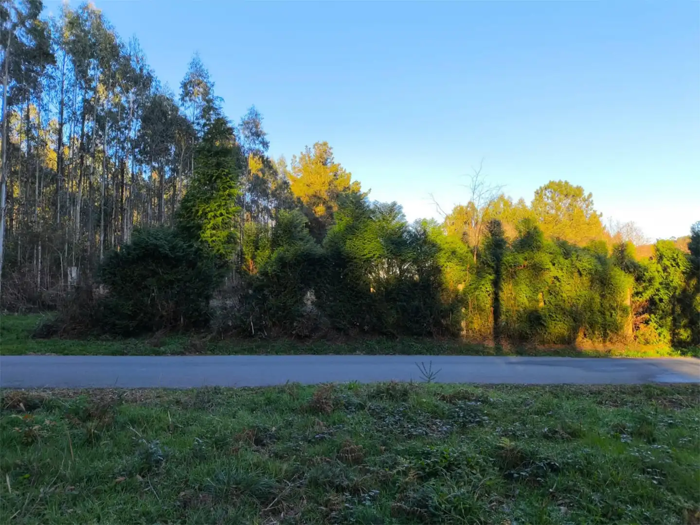 Terreno en venta en Lugar Rilo, 14, Cesuras Terreno en venta en Cesuras