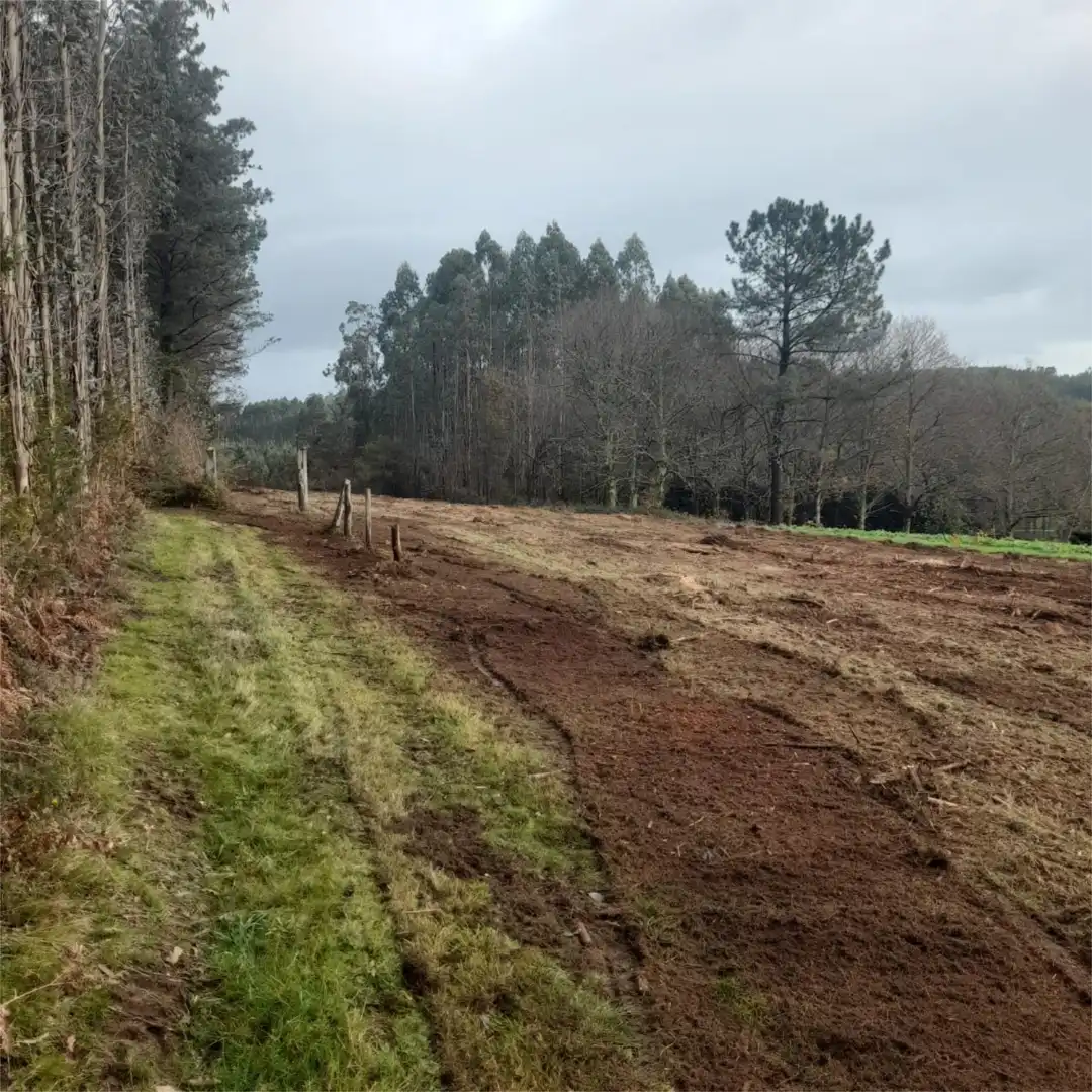 Terreno en venta en Lugar Rilo, 14, Cesuras Terreno en venta en Cesuras
