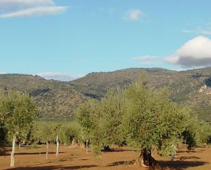 Land for sale in Arroyomolinos (Cáceres)