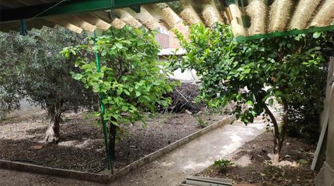 Foto 5 de Planta baixa en venda a Calle Almodóvar, 70, Argamasilla de Calatrava, Ciudad Real