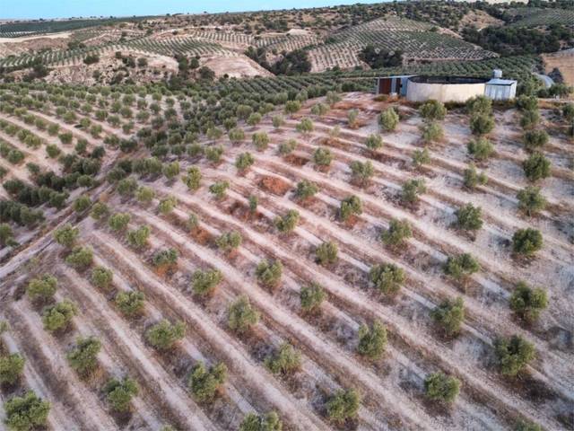 Finca rústica en Venta en Callejon Barbero, 17 en Alamedilla