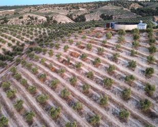 Jardí de Finca rústica en venda en Alamedilla